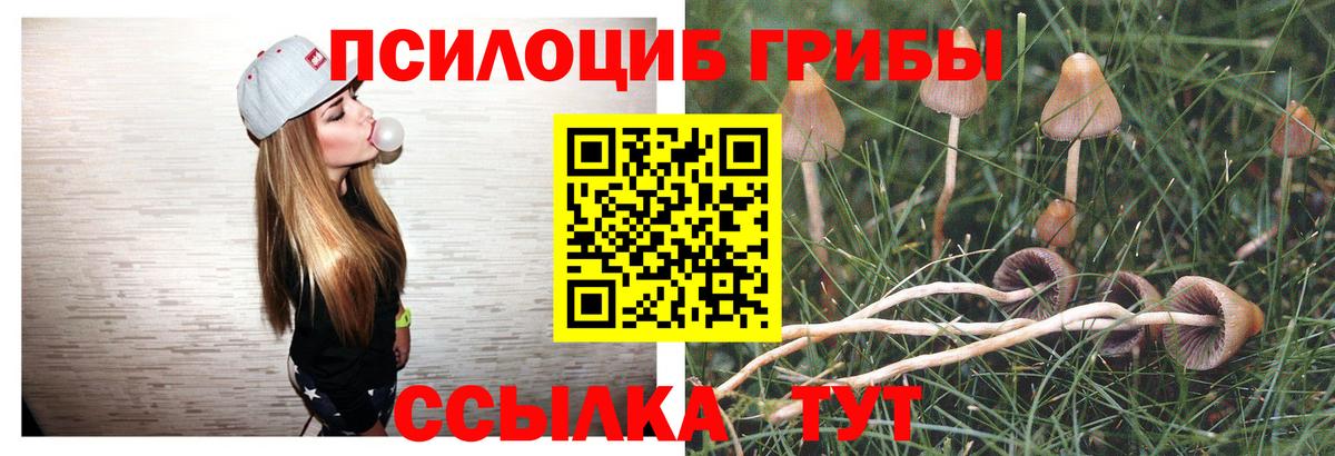 Галлюциногенные грибы GOLDEN TEACHER  Вход с VPN  Гагарин 